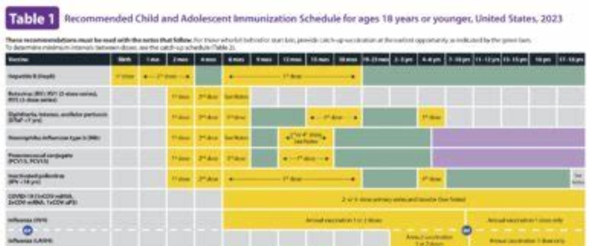 Understanding Immunization Schedules for All Ages