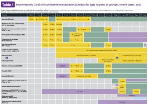 Understanding Immunization Schedules for All Ages